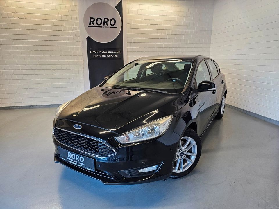 Ford Focus 1,6 Ti-VCT  SYNC Edition + TEMP/8-Reifen in Lippstadt