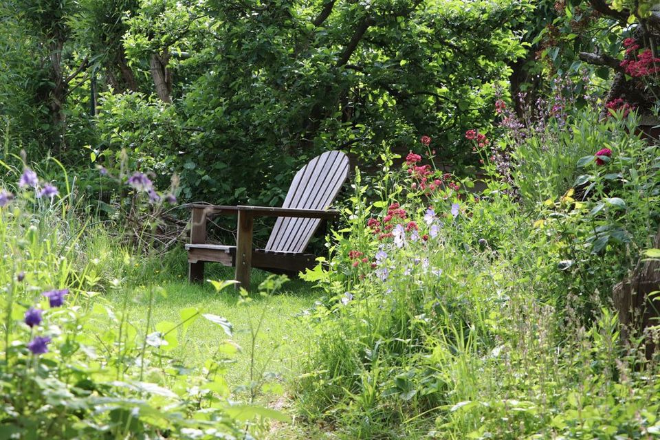 Garten, Grundstück, zur Pacht gesucht in Waiblingen