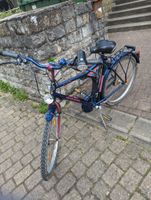 Damen Fahrrad Kettler Baden-Württemberg - Sinsheim Vorschau