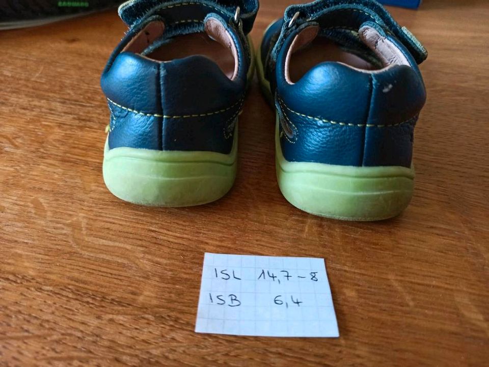 Barfußschuhe Protetika Tery Navy 24 und Koel Denis 2.0 Nappa 24 in Northeim