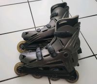 Inlineskates für Männer in der Größe 41 Hessen - Oberursel (Taunus) Vorschau