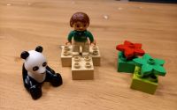 Lego Duplo 6173 "Pandabär" Sachsen-Anhalt - Sandersdorf Vorschau