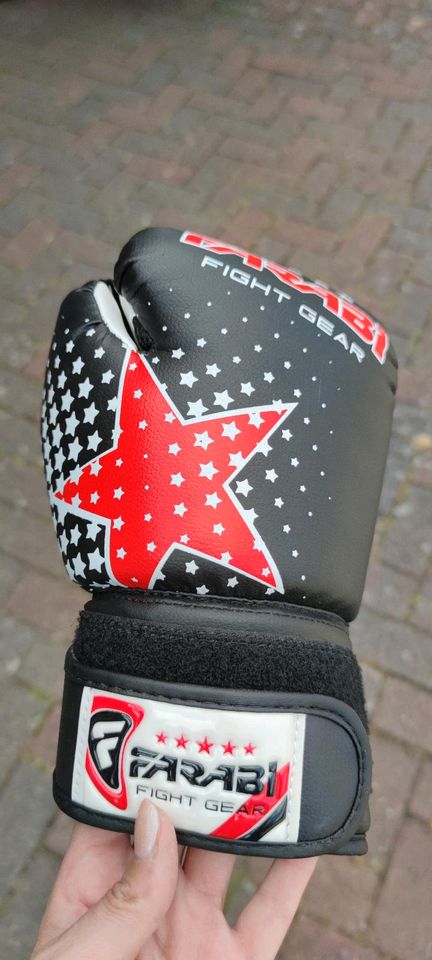 Boxhandschuhe Farabi 6oz in Estorf