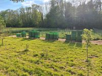 2-3Wirtschaftsvölker,  Bienen Carnica,  auf Wunsch mit Honigraum. Sachsen-Anhalt - Wülperode Vorschau