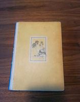 Buch Robinson spielt König -  E.R.Greulich Abenteuerroman 1954 Baden-Württemberg - Schwieberdingen Vorschau