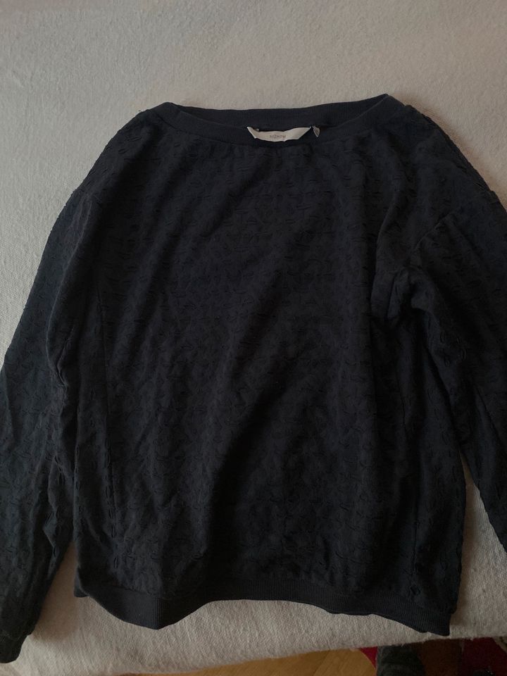 Pullover / Shirt  Gr 36,38,40,42, Creme, blau,grau,schwarz rosa in Mettlach