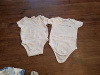 Body Set Baby 62/68 Kurzarm Baden-Württemberg - Konstanz Vorschau