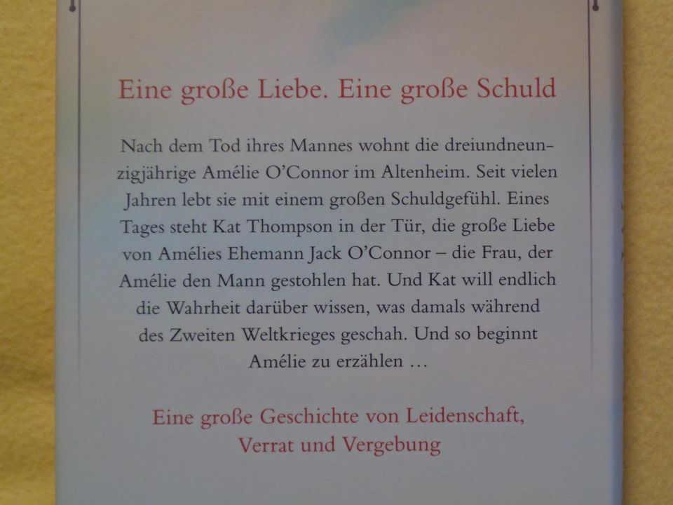 Buch, Roman „Reise des Schicksals“, sehr gut erhalten! in Bockau
