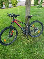 Mountainbike Herrenrad Jungenfahrrad Damenfahrrad KTM Chicago Bayern - Pollenfeld Vorschau