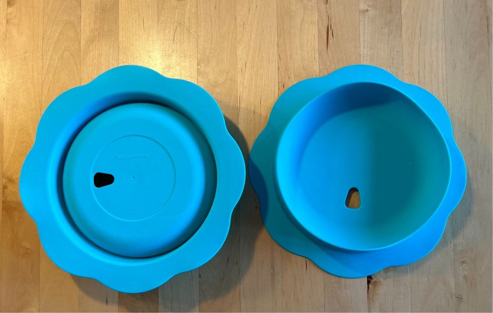 Tupperware Tellerhalter Antirutsch für Babys/Kleinkinder in Elsfleth