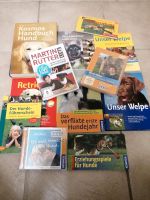 Hundeerziehung, Spiele, Welpen Retriever, Begleithund Nordrhein-Westfalen - Marl Vorschau