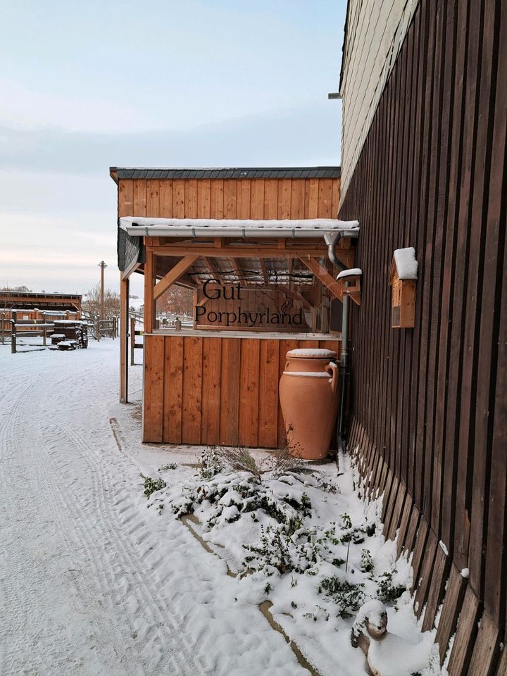 Einstellplatz in Aktivhaltung, Aktivstall, Reha, Urlaubsbetreuung in Seelitz