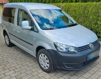 VW Caddy 1,6TDI 75kW 5-Sitze, Klima, LED, Navi, BT Baden-Württemberg - Schemmerhofen Vorschau