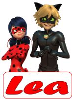 Miraculous ladybug Türaufkleber Neu! Brandenburg - Potsdam Vorschau