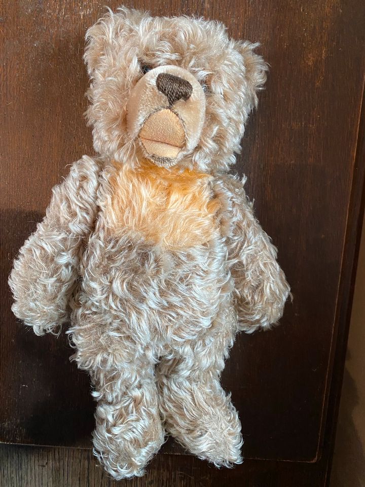 Steiff Teddy -Bär ca 30 cm Knopf im Ohr gut erhalten in Wiehl