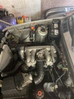 BMW e30 Motor 316i Nordrhein-Westfalen - Borgholzhausen Vorschau