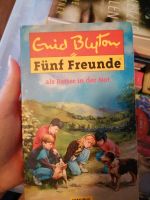 Enid  Blyton - Fünf Freunde als Retter in der Not Bad Doberan - Landkreis - Wittenbeck Vorschau