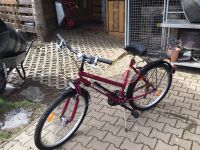 Damenfahrrad Thüringen - Königsee Vorschau