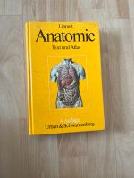 Lippert , Anatomie Text und Atlas Hessen - Kassel Vorschau