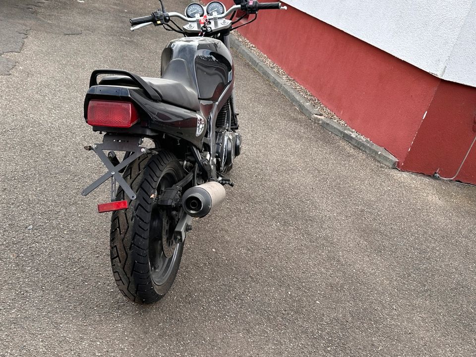 Suzuki GS 500 e in Lampertheim