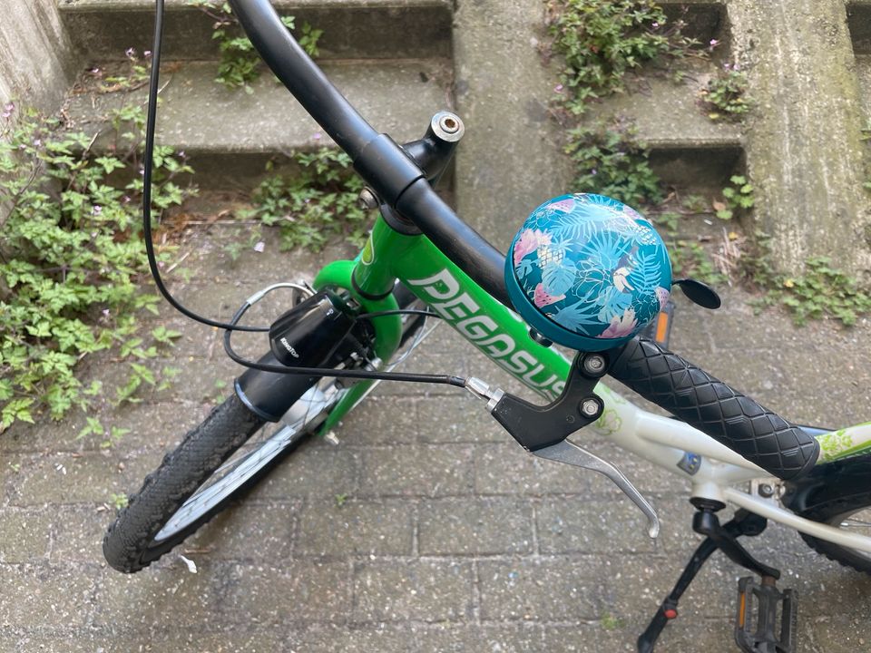 Fahrrad Kind Jugend Pegasus Arcona 24 Zoll 3 Gänge Alu in Berlin