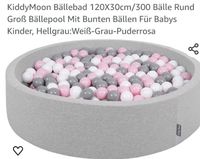 Bällebad Grau Rosa Niedersachsen - Lengede Vorschau