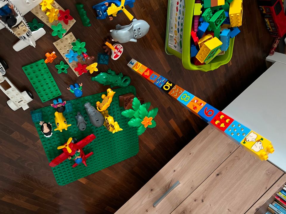 Lego Duplo 250 Teile in Duisburg