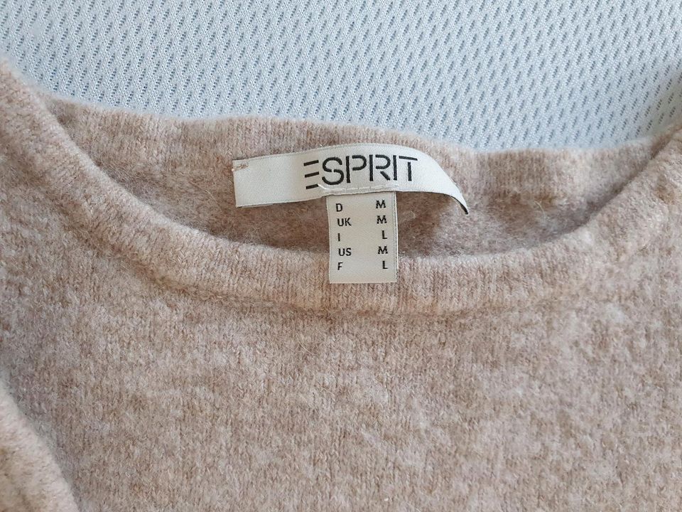 Kuscheliger Strickpullover Esprit Damen in Busenberg