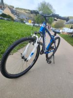 Fahrrad Gigant Rheinland-Pfalz - Lieser Vorschau