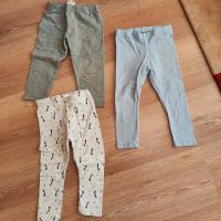 Leggings und Hosen 86 92 Niedersachsen - Goslar Vorschau