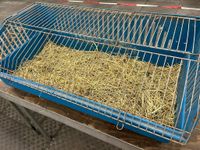 Stall - Transportbox - Gehege - Meerschweinchen - Kaninchen Tier Nordrhein-Westfalen - Gütersloh Vorschau