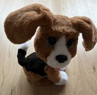 Spielzeughund "Benni" - der sprechende Beagle von furReal Baden-Württemberg - Müllheim Vorschau