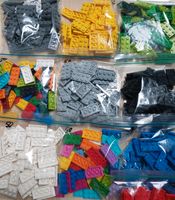 50 Lego Plates 2x4*kleine Platten*gemischt *sortiert *flach Nordrhein-Westfalen - Mülheim (Ruhr) Vorschau