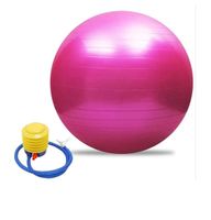 Gymnastikball Fitnessball Sitzball inkl Pumpe 75cm pink Hessen - Königstein im Taunus Vorschau