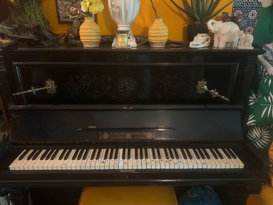 Klavier Musikinstrument Flügel Antikes Klavier in Berlin