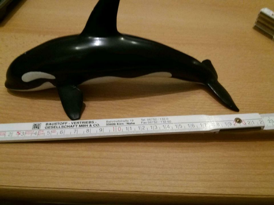 Orca von Schleich in Heidelberg