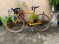 Vintace - Bike Rheinland-Pfalz - Zeiskam Vorschau