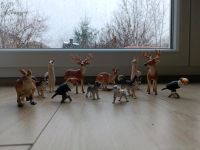 12 Schleich-Figuren, ein ganzer Zoo Dresden - Coschütz/Gittersee Vorschau