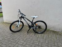 Felt Fahrrad Dortmund - Lütgendortmund Vorschau