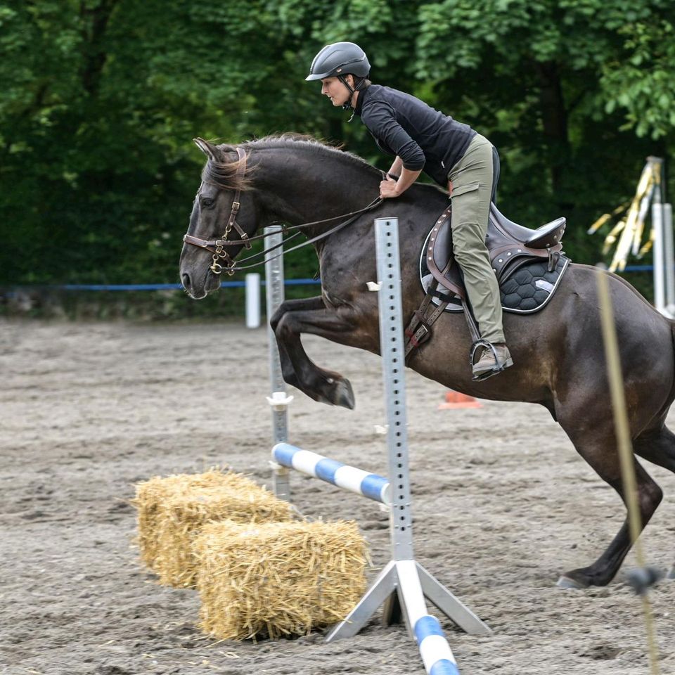 Reitbeteiligung zu vergeben in Weinheim