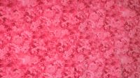 Cordstoff, Feincord mit Blütenmuster in rot-rosa-pink Rheinland-Pfalz - Frankenthal (Pfalz) Vorschau
