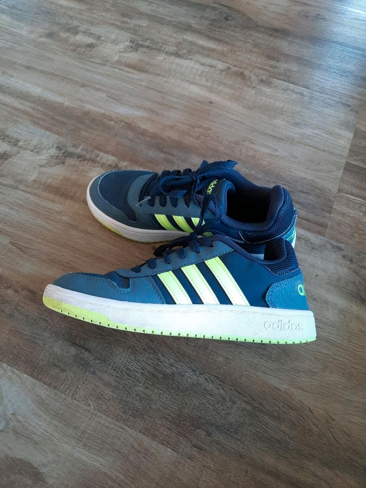 Adidas Sneaker Turnschuh Gr. 38 2/3 in Wyhl