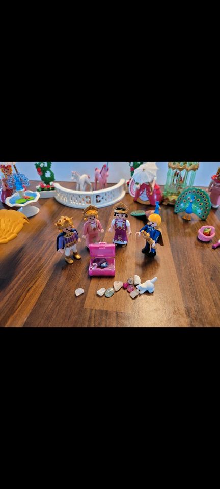 Playmobil Prinzessin und Feen Sammlung in Brackel