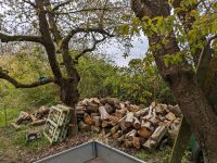 Biete Karmin Holz brenn Holz Nordwestmecklenburg - Landkreis - Zickhusen Vorschau