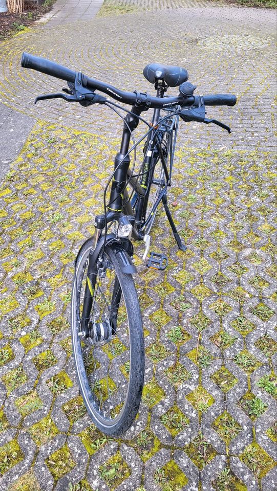 Kalkhoff Voyager Trekkingbike 28 Zoll 55cm Damenfahrrad in Augsburg