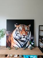 Bild Tiger auf Leinwand auf Holzrahmen 90x90 cm wie neu Baden-Württemberg - Pfalzgrafenweiler Vorschau