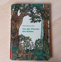Förster Grünrock erzählt von den Pflanzen des Waldes/ DDR /Wald Sachsen-Anhalt - Halle Vorschau