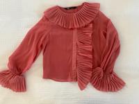 Chiffon Bluse Zara neuwertig in Koralle Nordrhein-Westfalen - Ratingen Vorschau