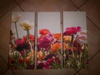 3teiliges Wandbild / Fotodruck Blumen Niedersachsen - Ritterhude Vorschau