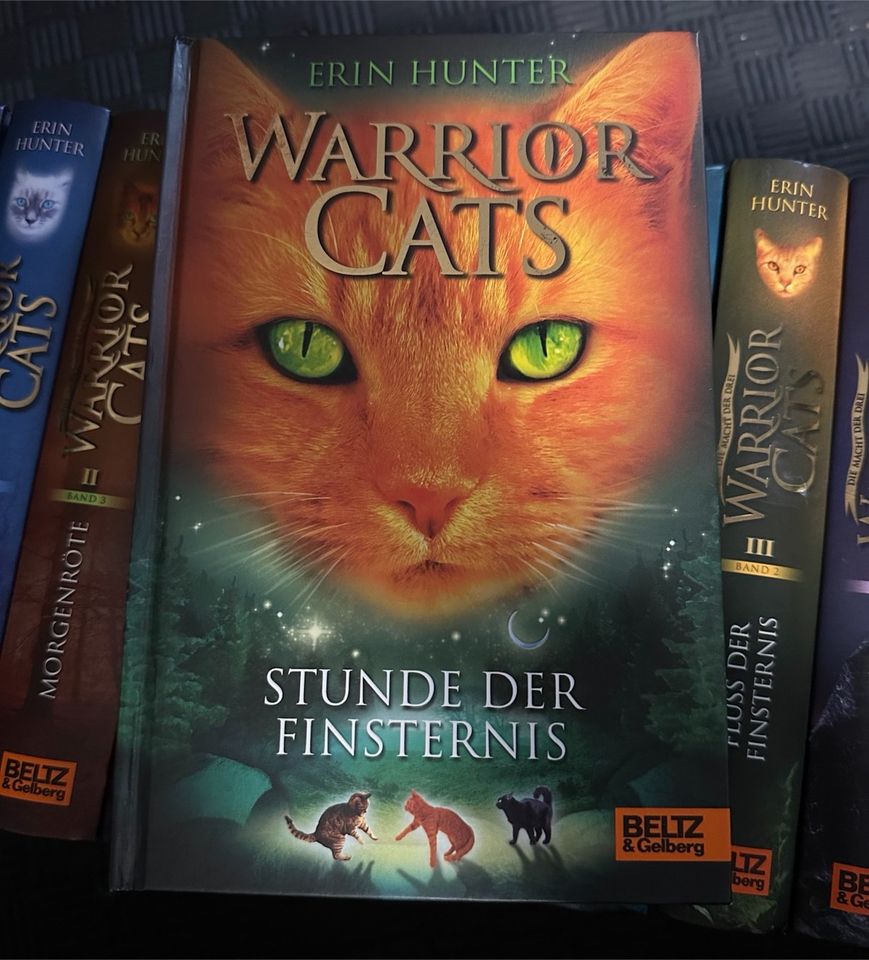 Warrior Cats von Erin Hunter in Detmold